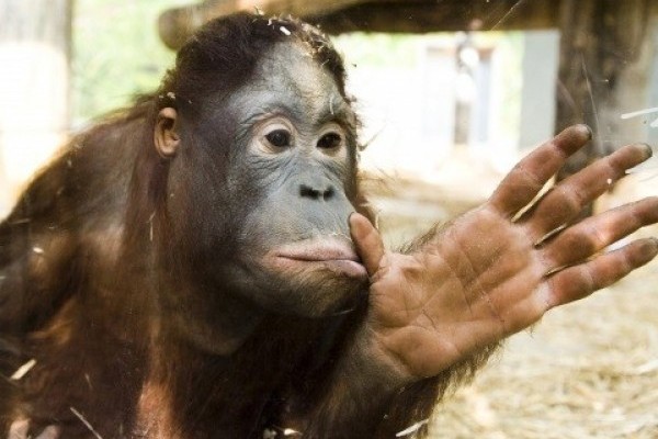 SZÁMÍTUNK RÁ(d)! 1% sokat számít!