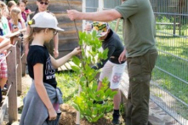 Tovább bővült az Év fája fasor Állatparkunkban