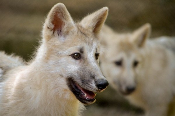 Lezárult az első forduló!   