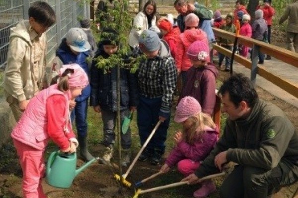 Megújult a Nyíregyházi Állatpark erdeje!