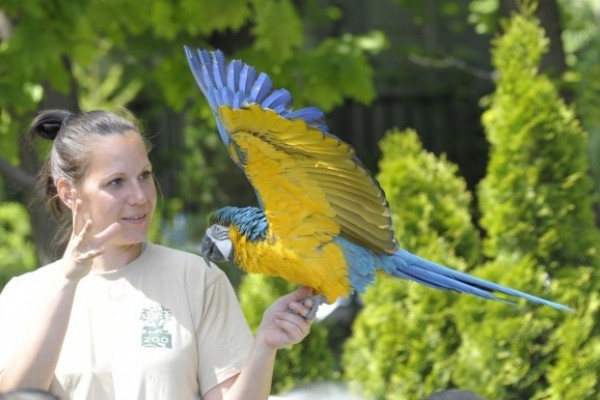 Gyere, s tekints a kulisszák mögé! 