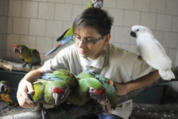 Színpompás papagáj fiókák cseperednek a Nyíregyházi Állatparkban!