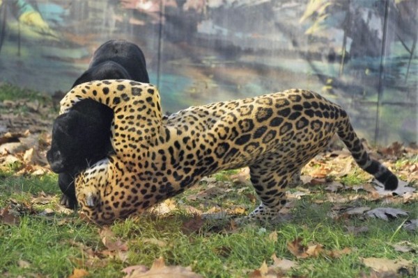 Uniós fejlesztések nyílt napja 2016 november 20-án