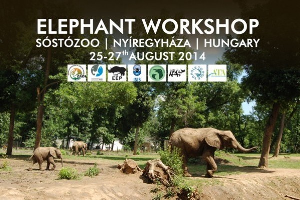 Elephant Workshop 25-27th August, 2014