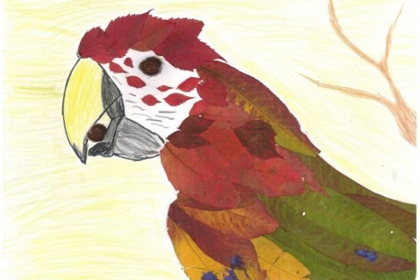 Rajzpályázat eredményhirdetés