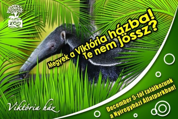 December 5-én nyílik a Viktória ház!