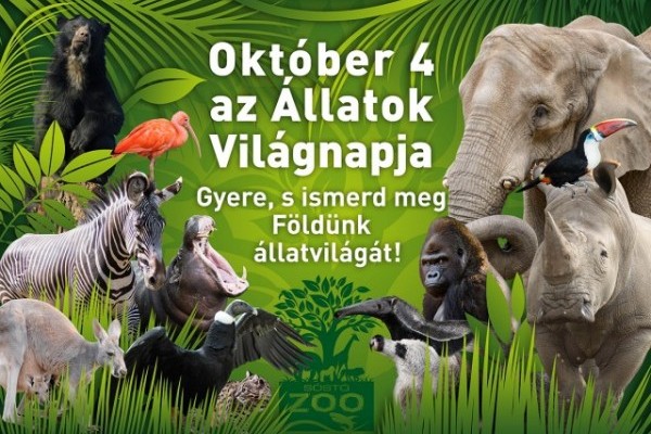 Október 4-én az Állatok Világnapján különleges programokkal várjuk vendégeinket