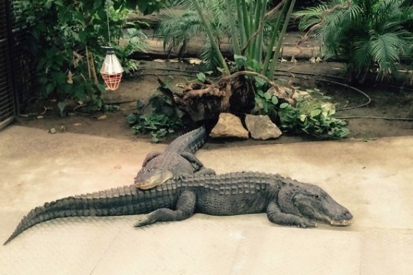 Különleges képeket sikerült rögzítenünk