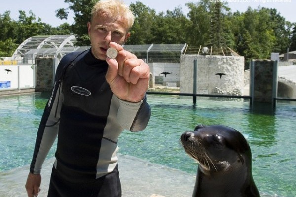 Az aprópénz nem ehető !!!