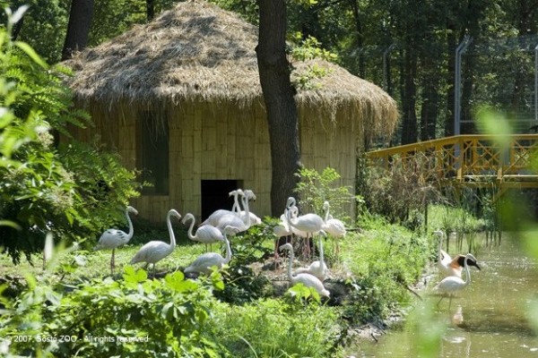 Új látványosságokkal bővült a Tarzan ösvénye!