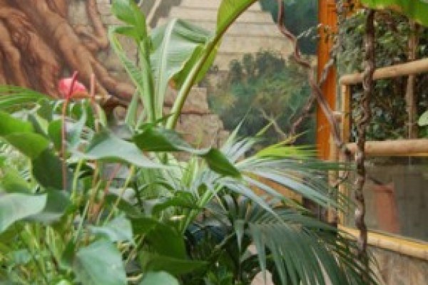 Átadtuk a Dél-Amerika házat!