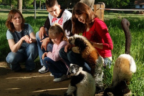 Újra megnyílt a maki erdő!