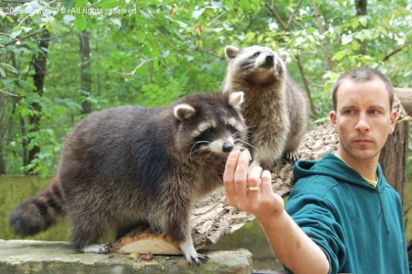 Október 4. - Az állatok világnapja