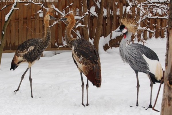 Évértékelés 2008