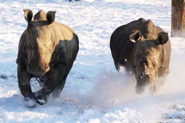 Esik a hó Afrikában?