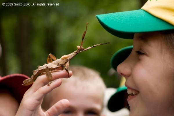 Idén is lesz ZOO-suli!