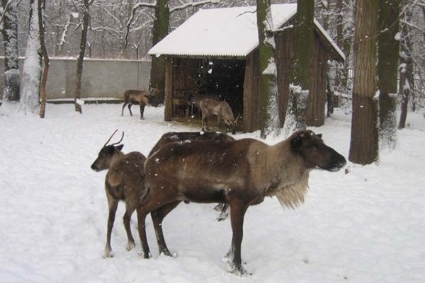 Mi bírjuk a hideget - Sarkvidéki gyorsjelentés Sóstóról - I. rész