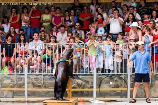 Beindulnak a látványetetések!