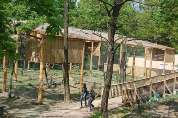 New aviary in Sosto Zoo!