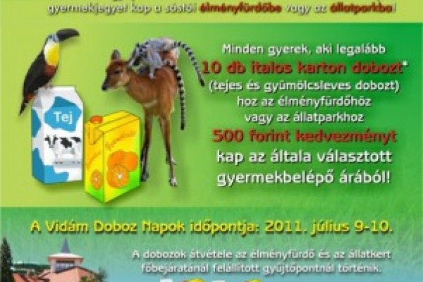 Vidám doboz napok Nyíregyházán!