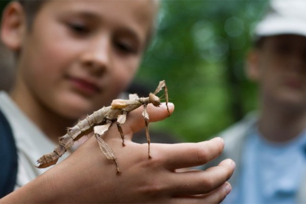 The summer camp of the Sosto Zoo, namely the Zoo-School has started also this year, like every year.