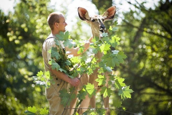 The second biggest antilope species can be seen in Sosto Zoo!