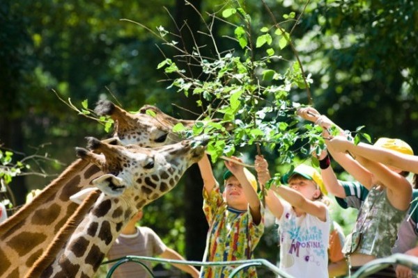 Önkéntesek a Nyíregyházi Állatparkban!