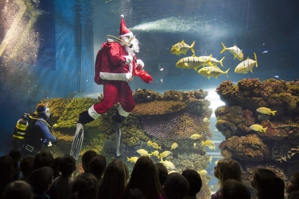 Mikulás az óceán mélyén!