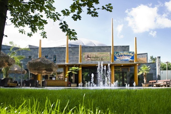 The Green Pyramid won a special prize!