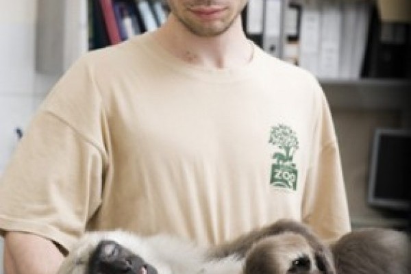 Sürgős életmentő műtétet kellet végrehajtani a hulmánon