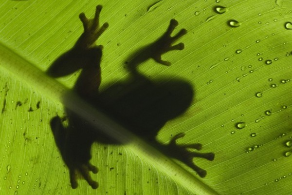 Lájkolj, szavazz és nyerj!