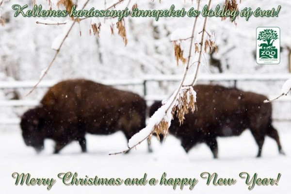 Kellemes Ünnepeket!