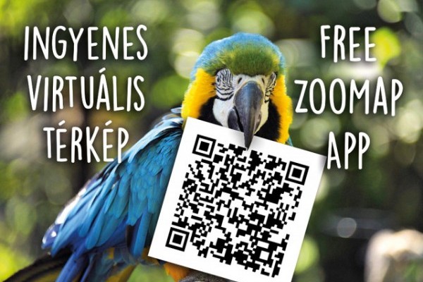 Sóstó Zoo’s app