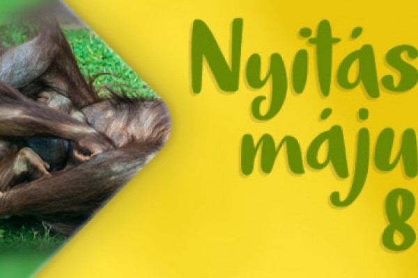 Május 8-tól újra várjuk vendégeinket