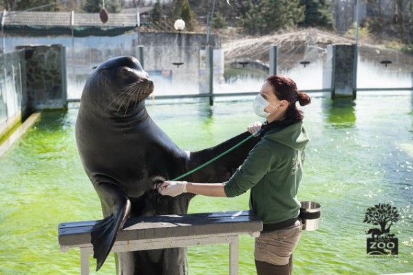 Segítő jegy akció a Nyíregyházi Állatparkban