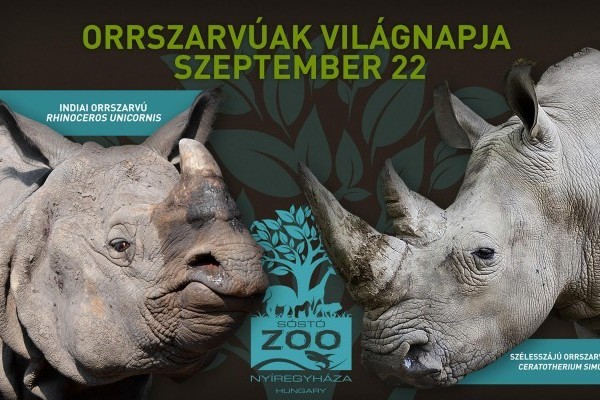 Orrszarvúak Világnapja - szeptember 22.