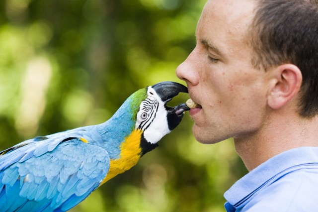 Október 4., Az állatok világnapja! cikk kiemelő képe