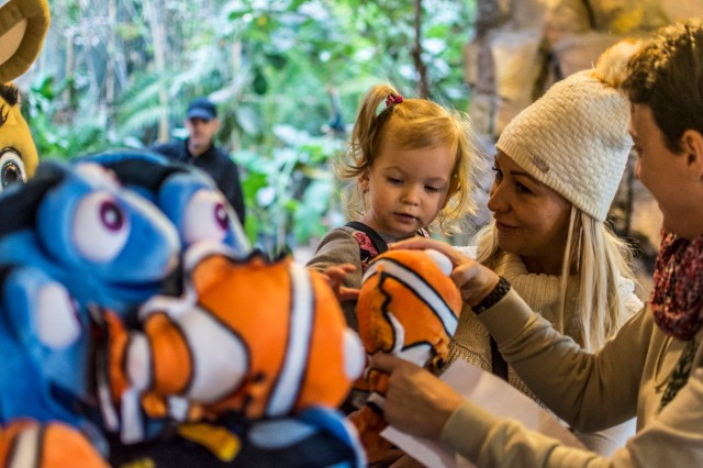 Kincskereső Karácsony volt az Állatparkban cikk kiemelő képe