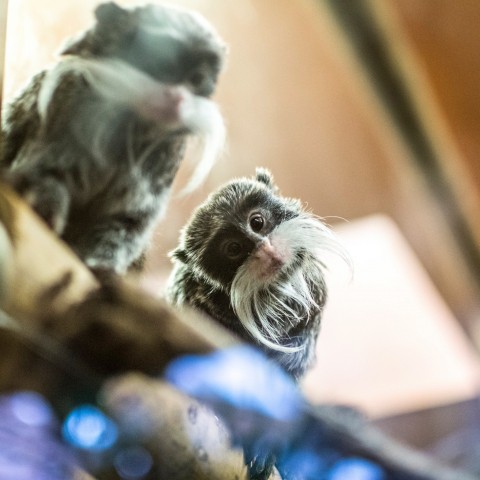 1 % sokat számít! cikk kiemelő képe