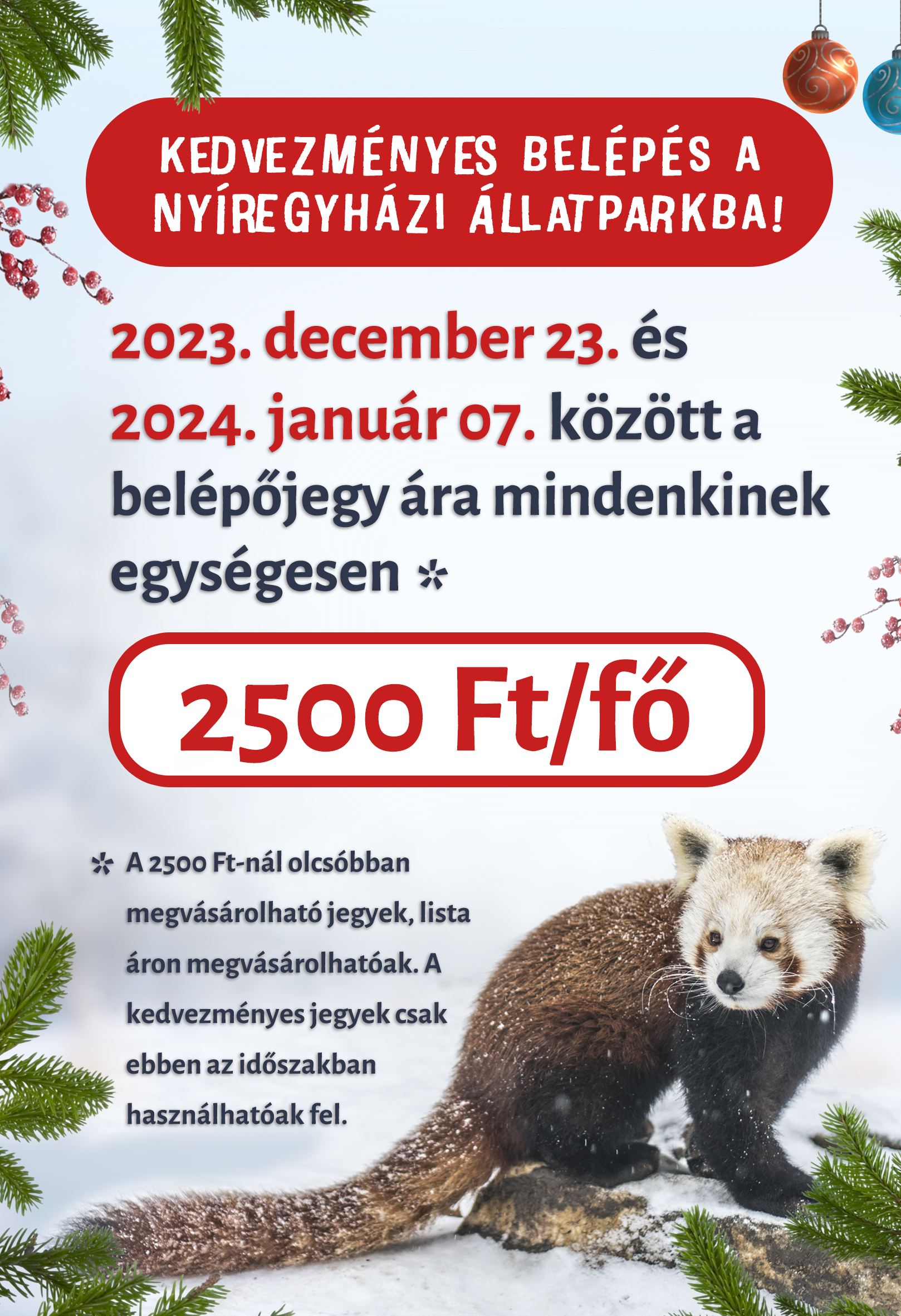 Van egy karácsonyi ajándékunk a számotokra! cikk kiemelő képe