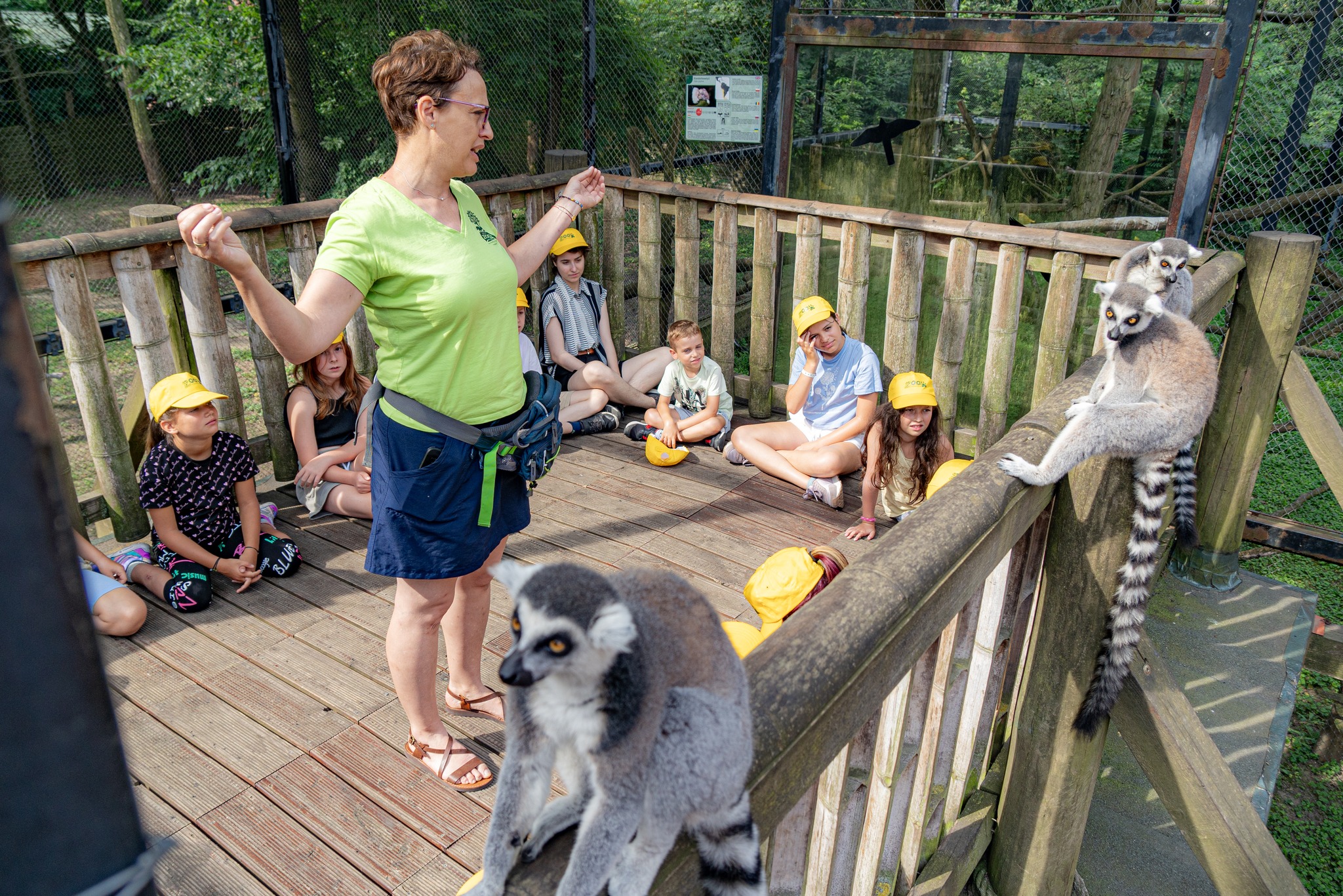 Idén is lesz nyári tábor! cikk kiemelő képe