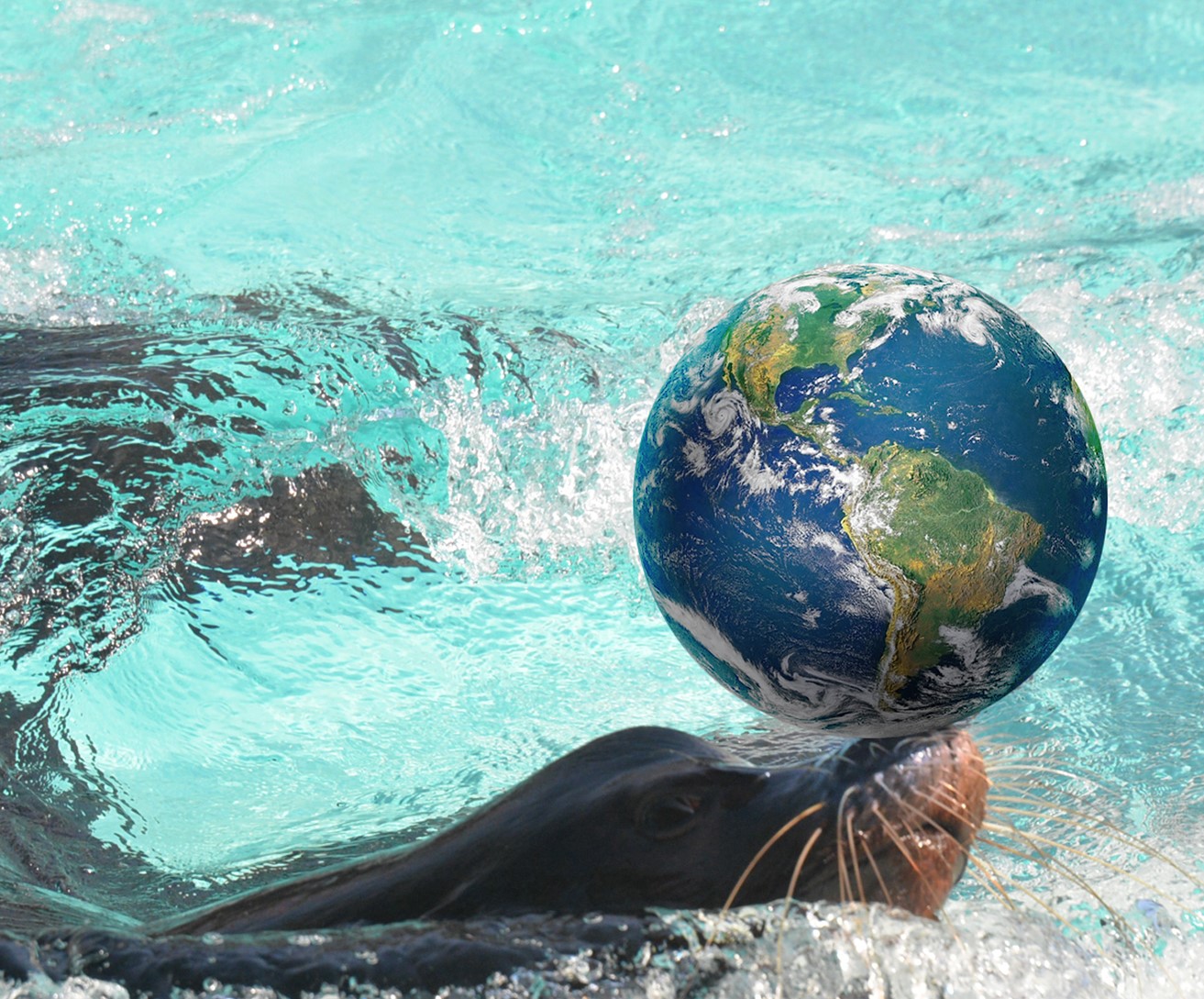  Föld Napja az Állatparkban cikk kiemelő képe