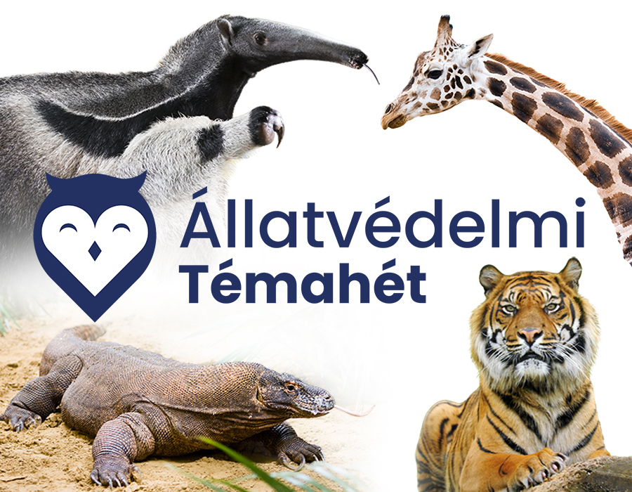 Kedvezményes belépés oktatási intézményeknek cikk kiemelő képe