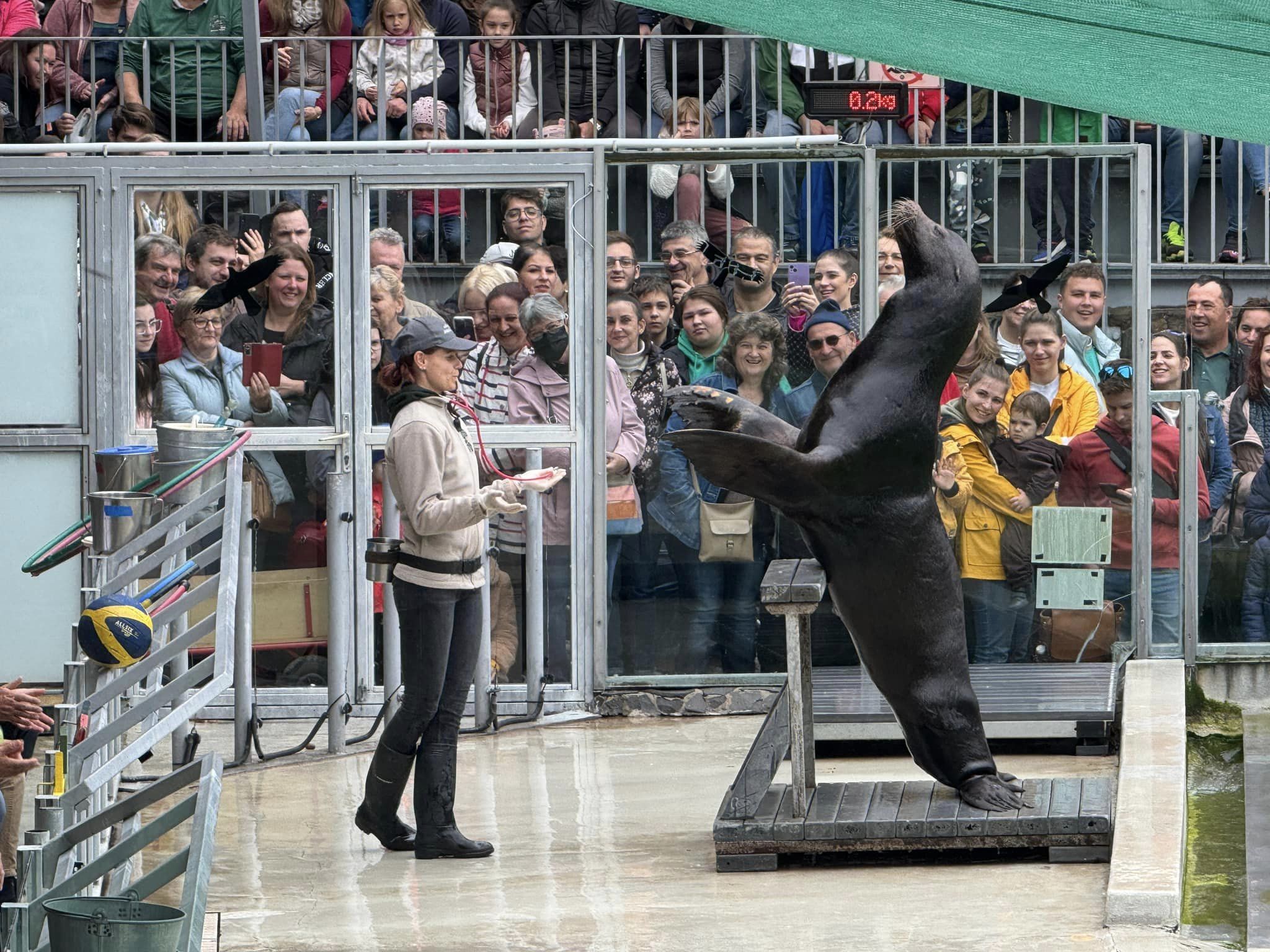 Órási érdeklődéssel zajlott az Állatvédelmi Témahét cikk kiemelő képe