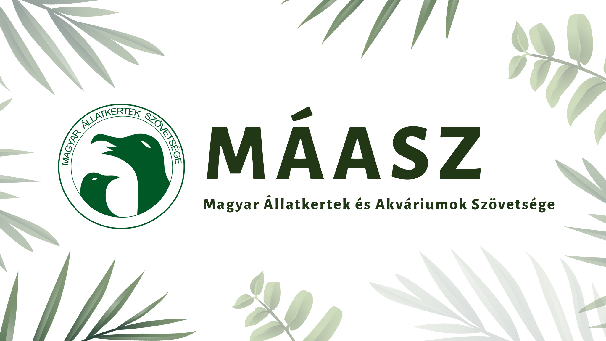 Nyitva vagyunk! cikk kiemelő képe