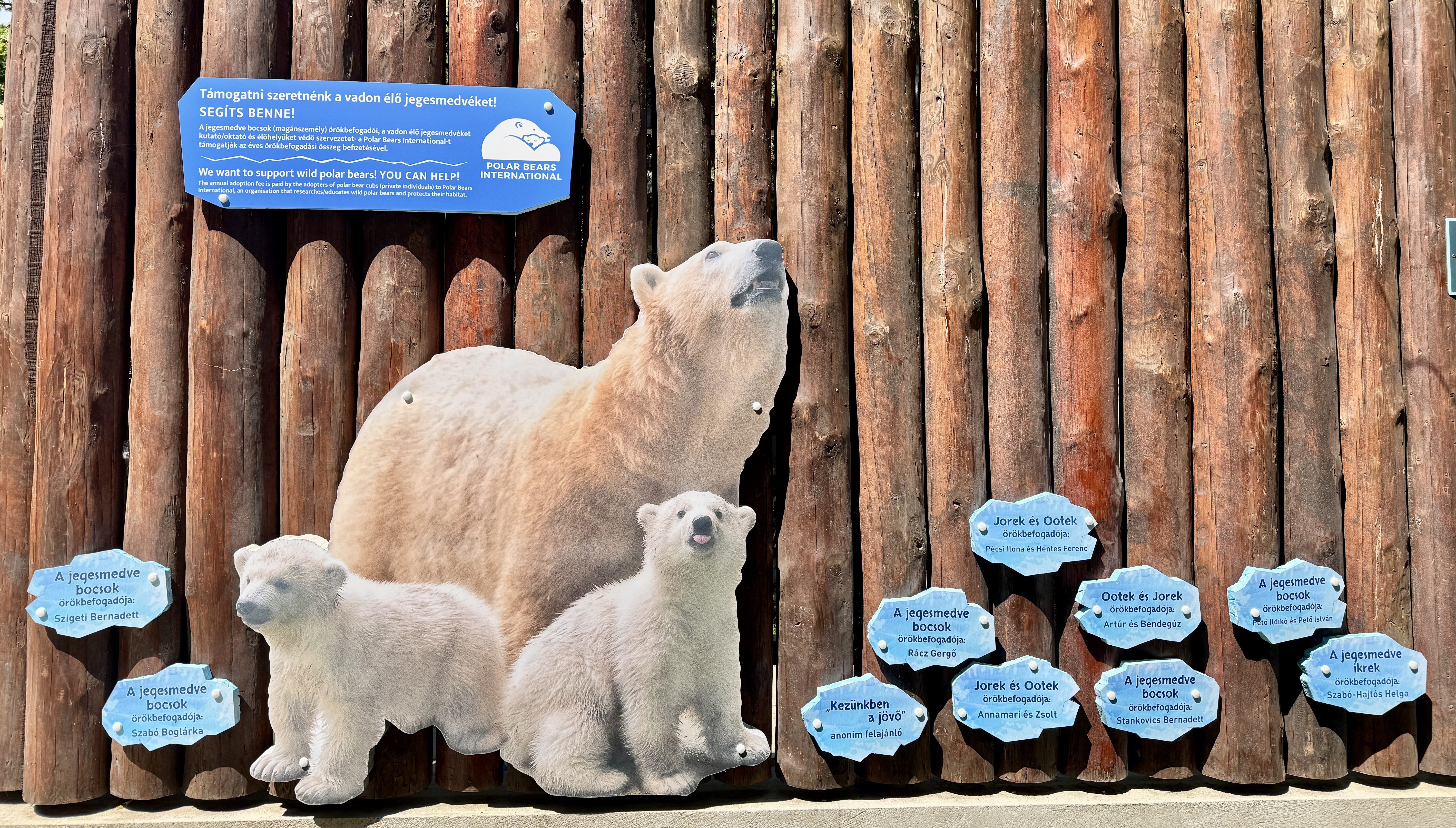 Ma van a Sarkvidéki tengeri jég Világnapja cikk kiemelő képe