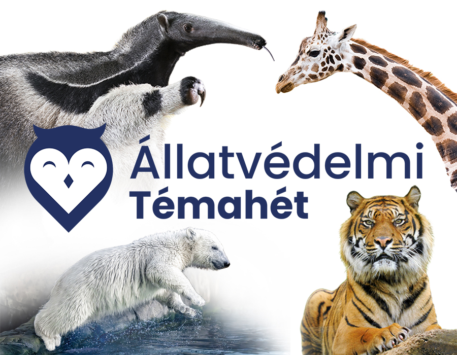 Kedvezményes belépés az Állatvédelmi témahéten cikk kiemelő képe