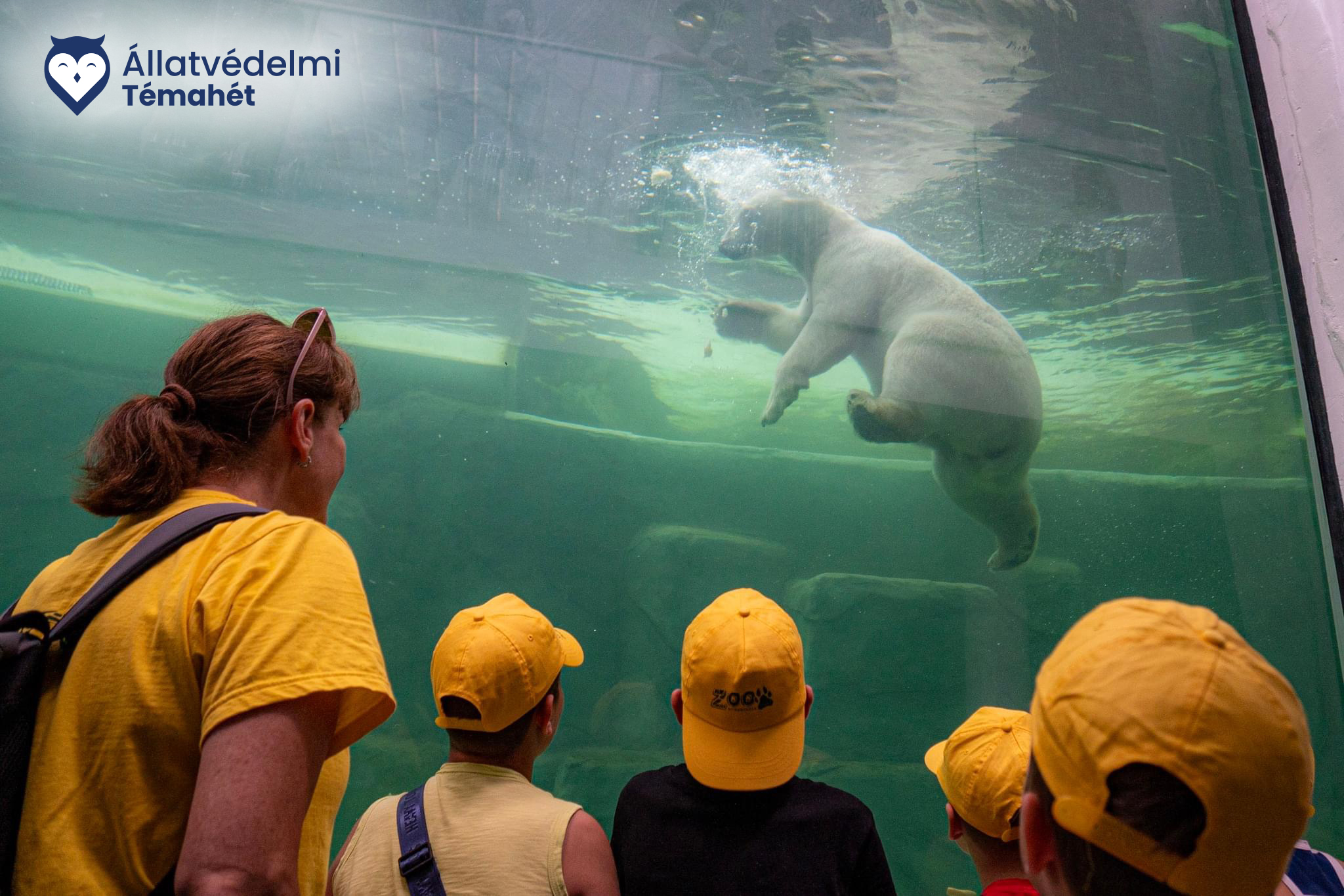 Ünnepeljük együtt az  Állatok Világnapját! cikk kiemelő képe