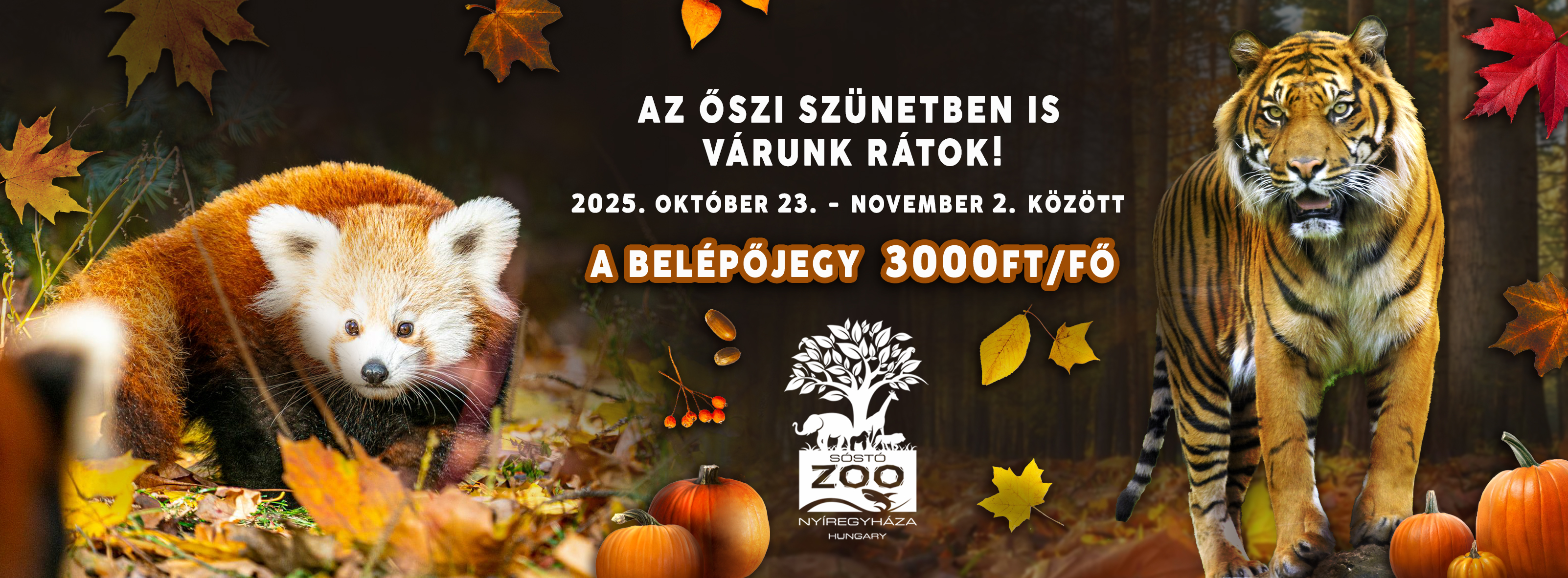 Kedvezmény az őszi szünetben cikk kiemelő képe