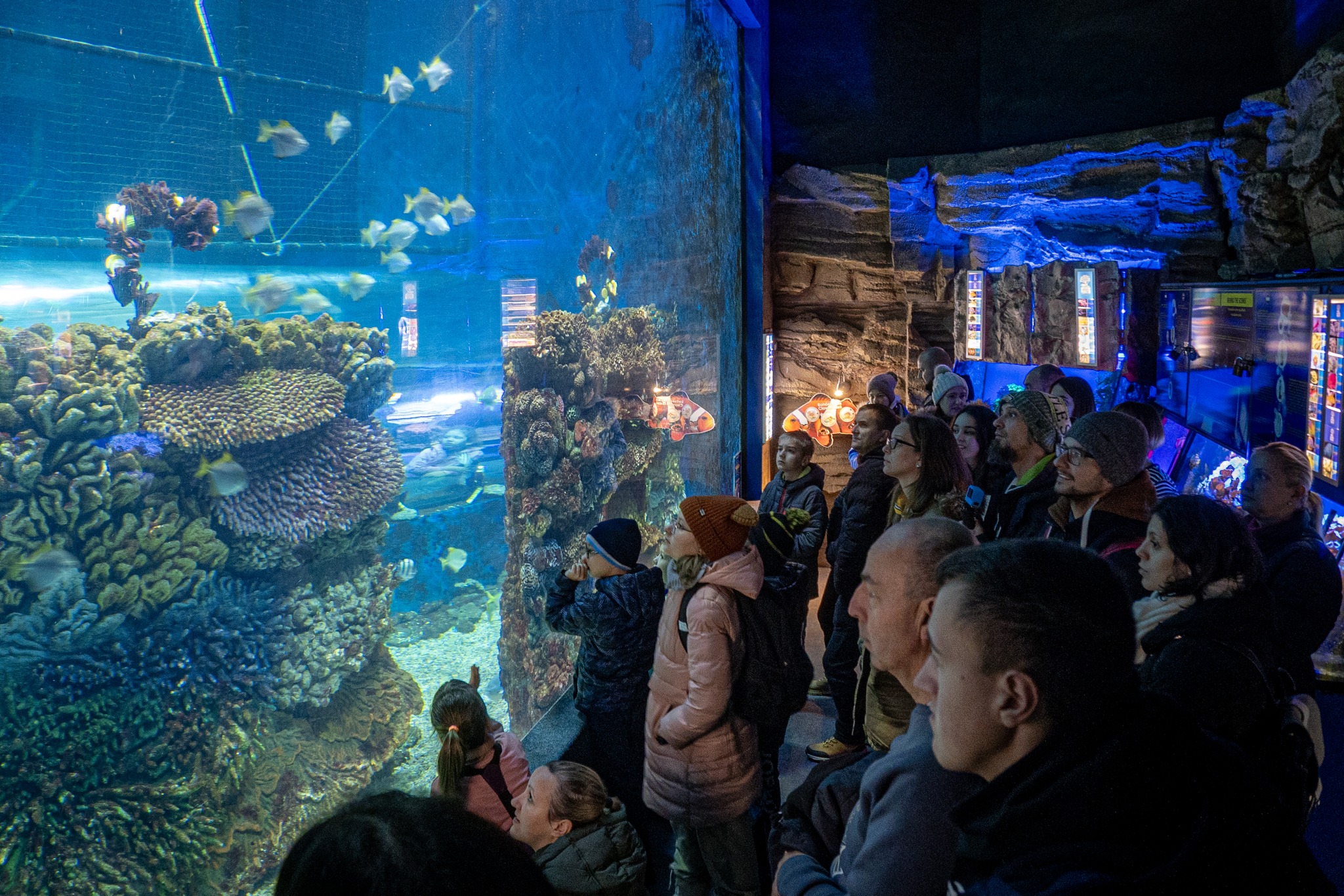 Évértékelő 2025 cikk kiemelő képe